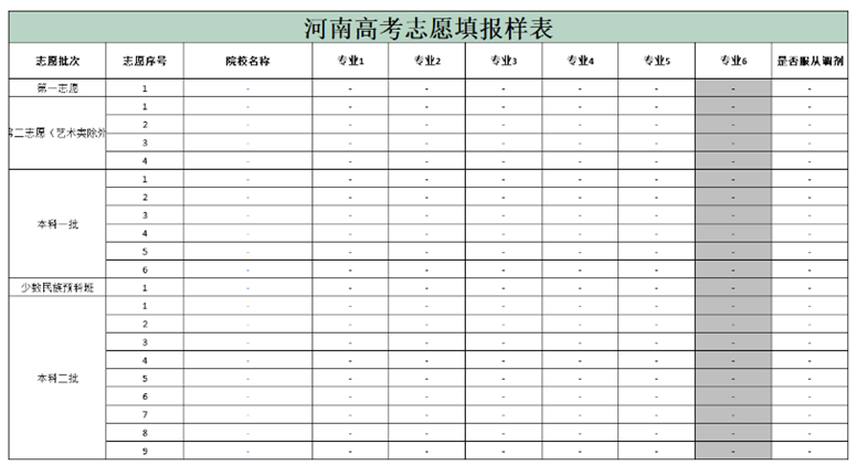 河南省高考志愿表模板及填报指南