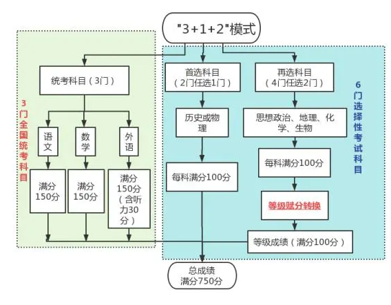 2024¸߿ĸʲô ͶЩ仯